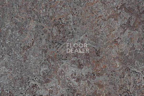 Линолеум Marmoleum Marbled Vivace 3421-342135 oyster mountain фото 1 | FLOORDEALER